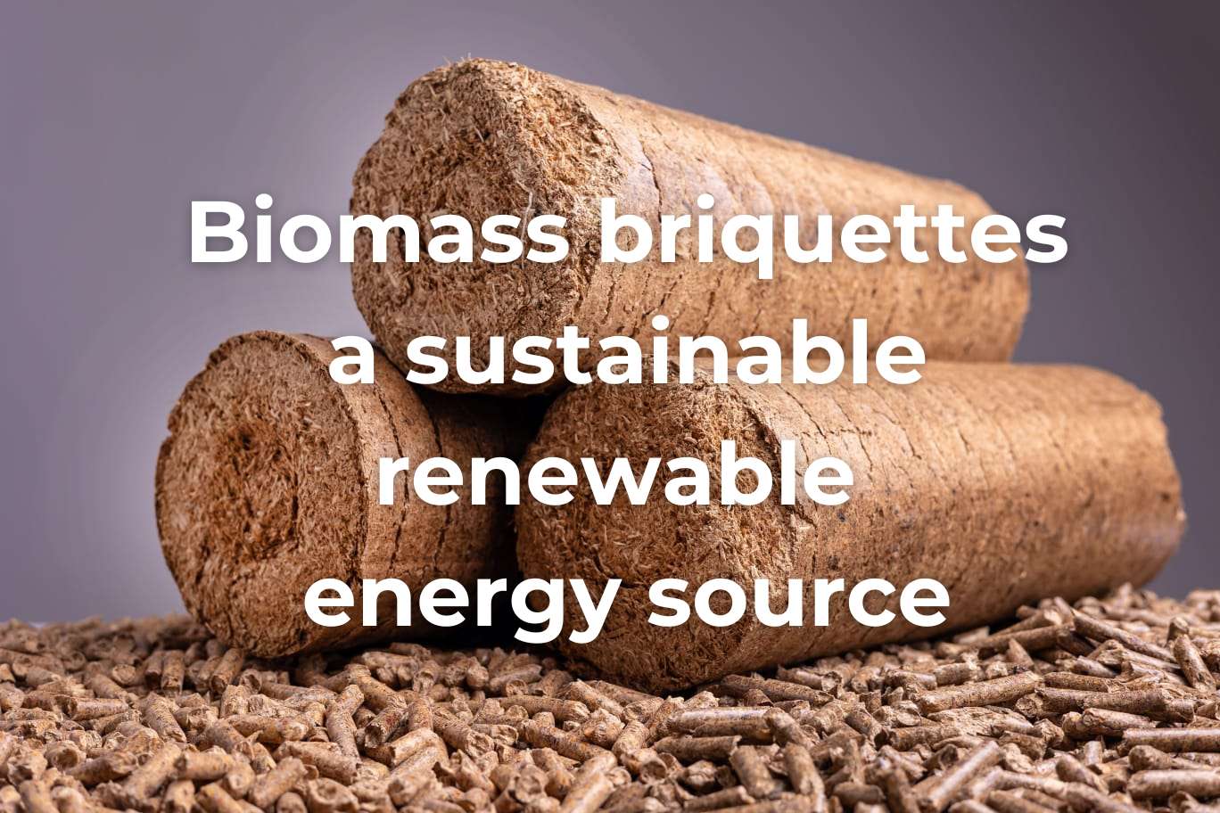 biomass-briquettes-a-sustainable-renewable-energy-source