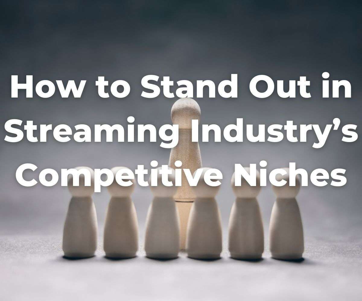 how-to-stand-out-in-streaming-industry-competitive-niches