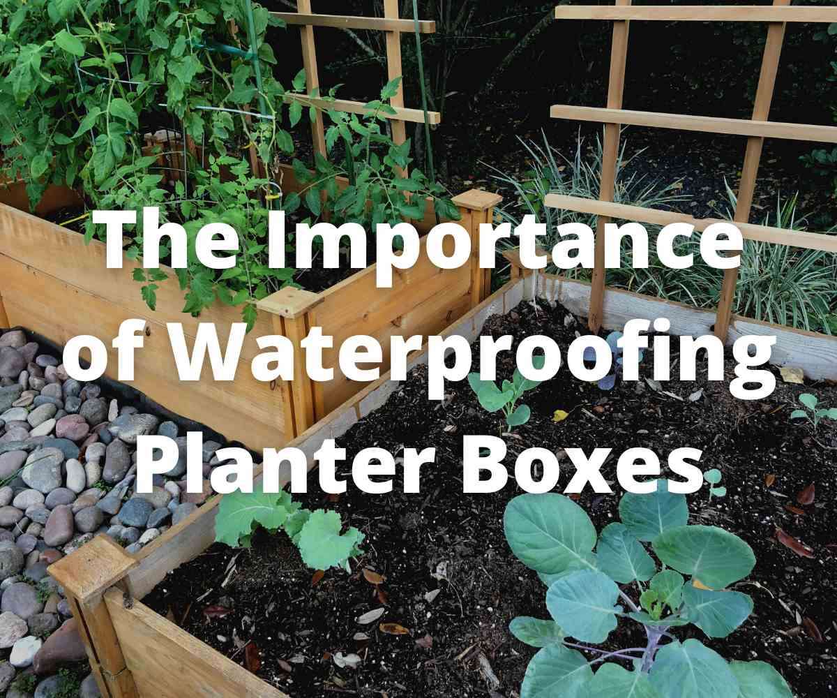 the-importance-of-waterproofing-planter-boxes