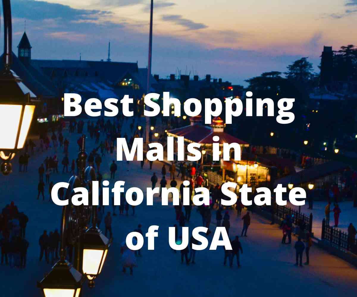 Exploring the Best Shopping Malls Near Me