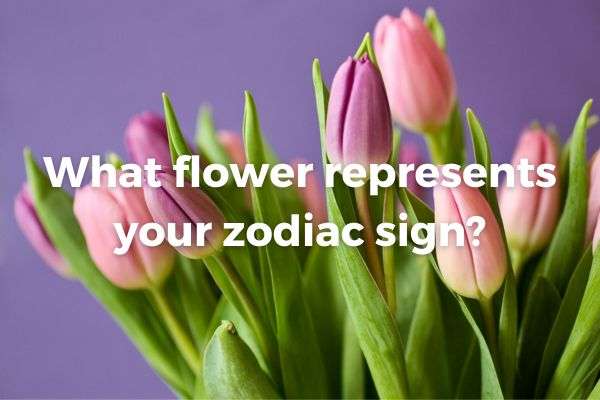 what-flower-represents-your-zodiac-sign