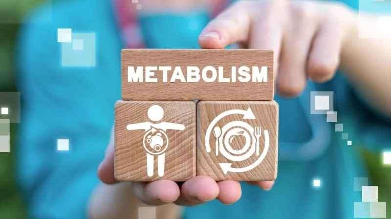 how-to-fix-metabolic-adaptation