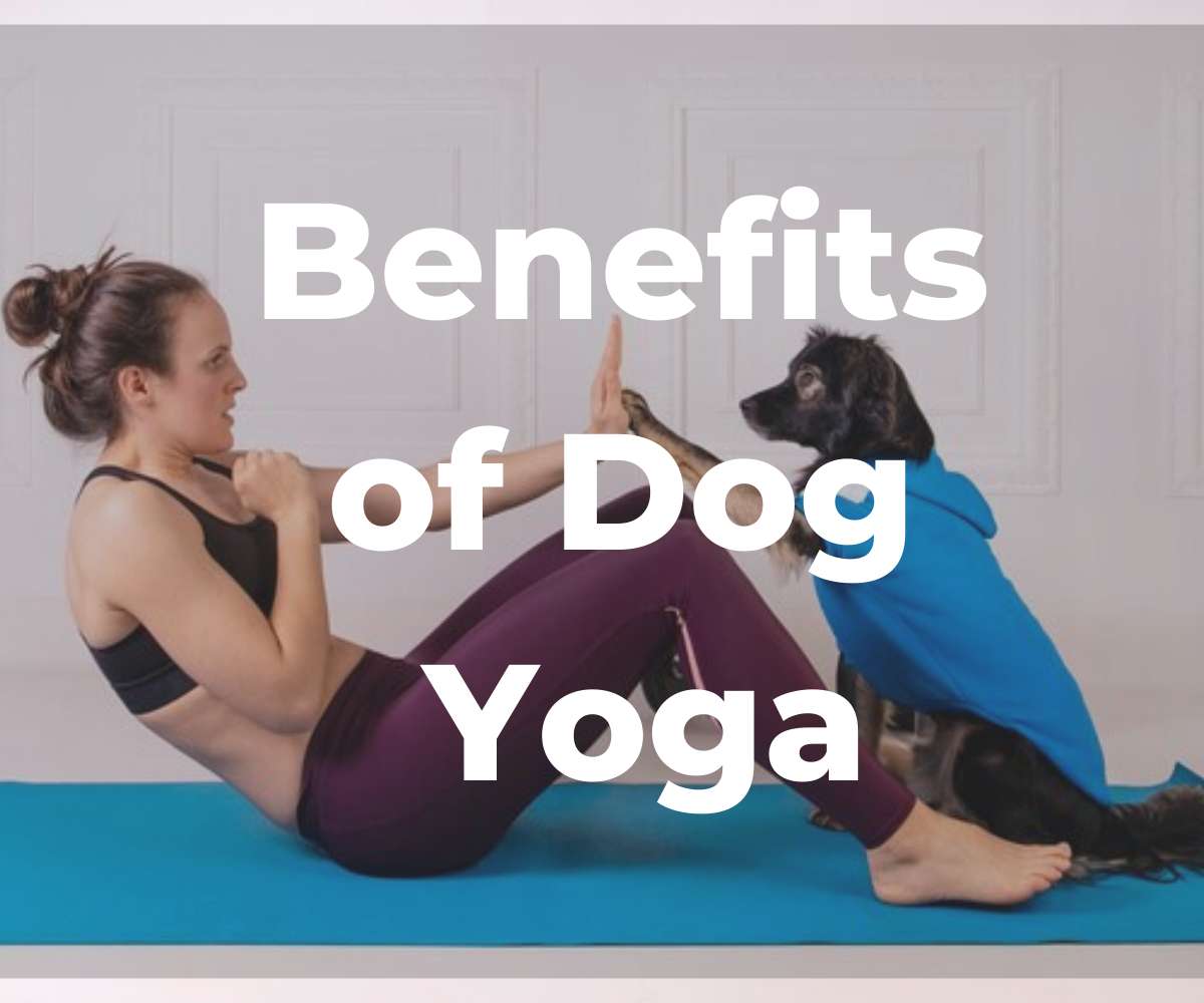 benefits-of-dog-yoga