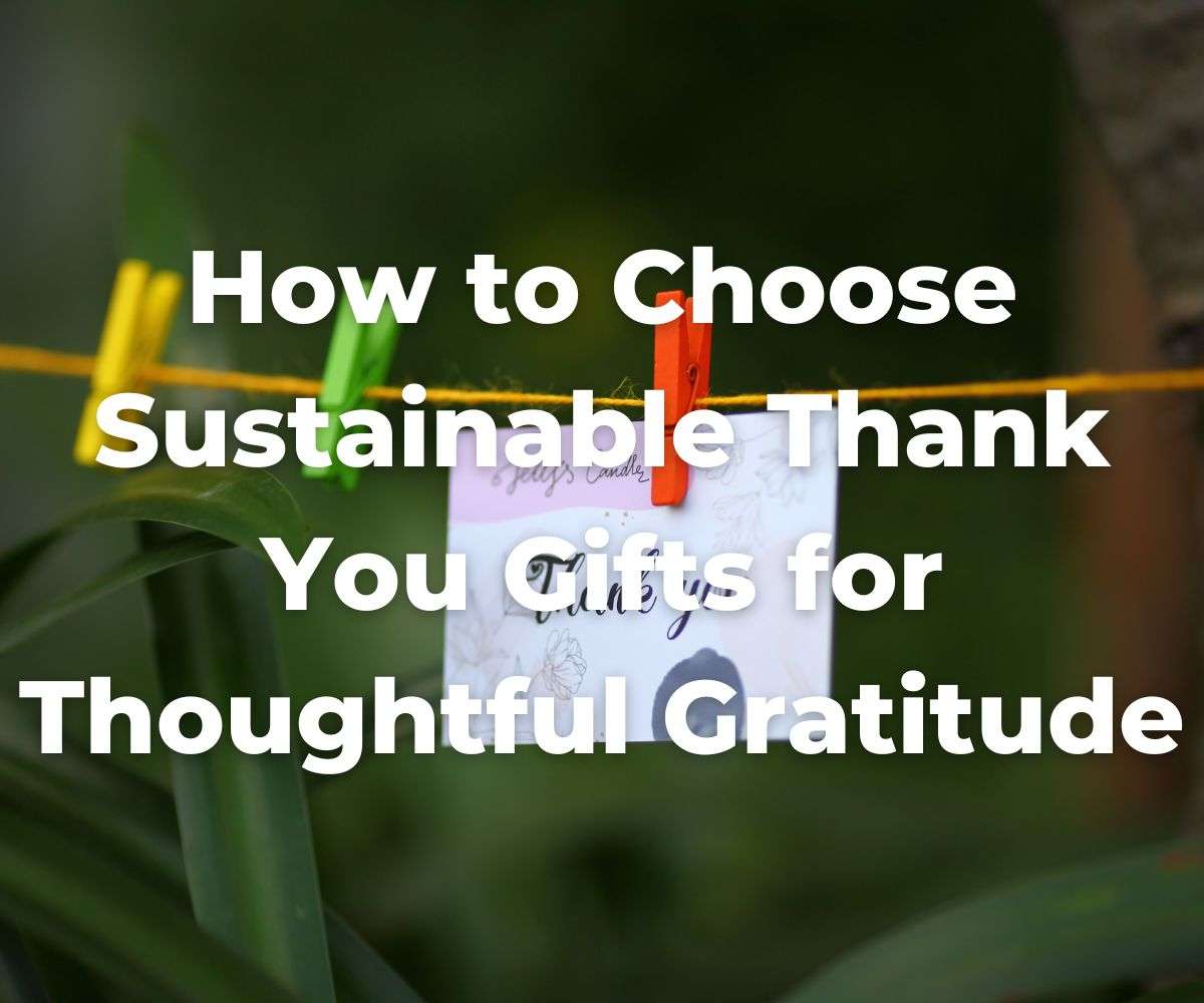 how-to-choose-sustainable-thank-you-gifts-for-thoughtful-gratitude